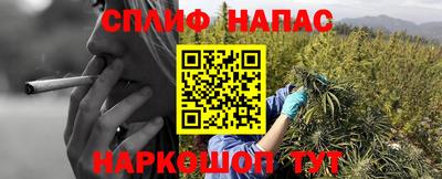 a pvp Бузулук