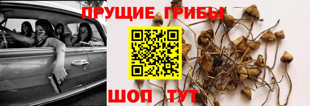 Псилоцибиновые грибы мухоморы Оренбург